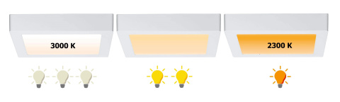 Lampa sufitowa LED Paulmann 79796 Carpo Plafon Lampa sufitowa LED Paulmann 79796 Carpo Plafon